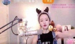 江苏黑哥爆料视频大全,揭秘幕后真相